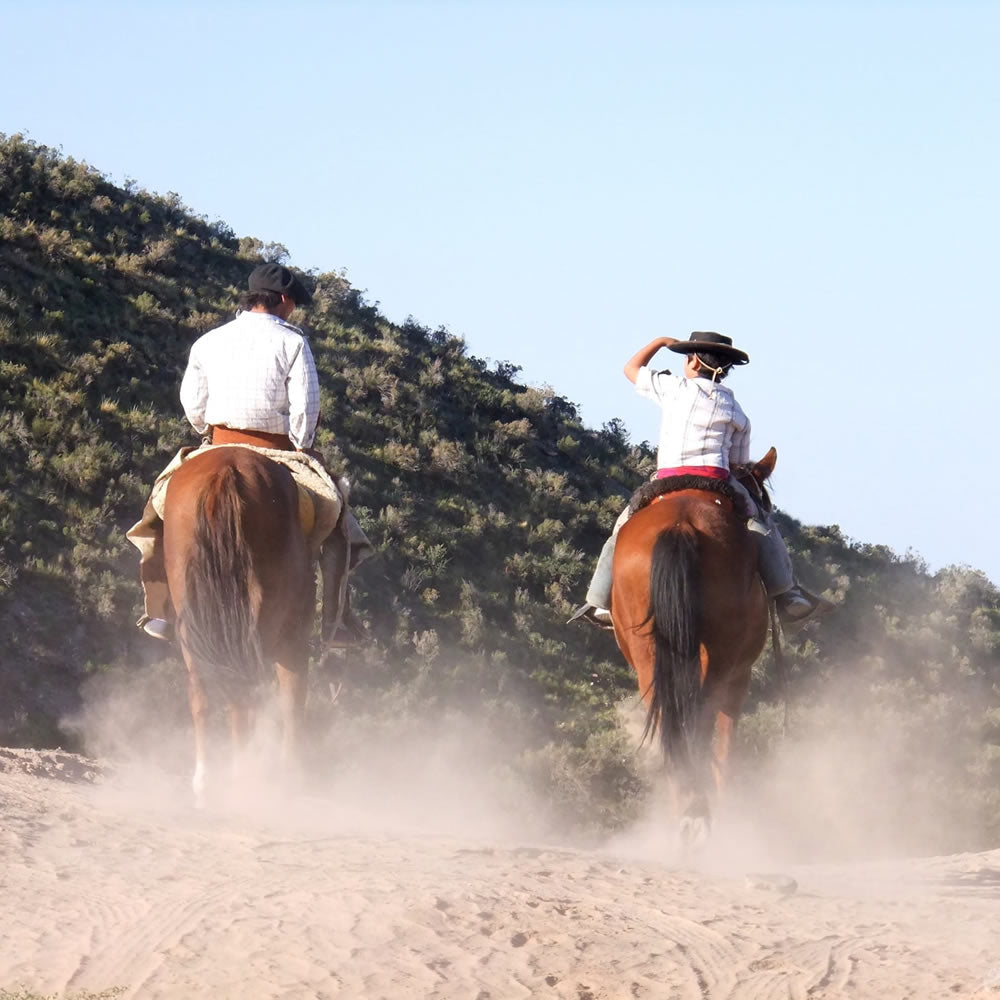 7. Cowboys & Rodeos